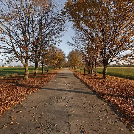 Dmora Retreat فندق بارما