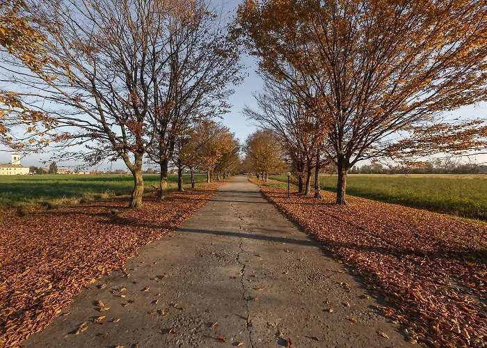 Dmora Retreat ホテル パルマ